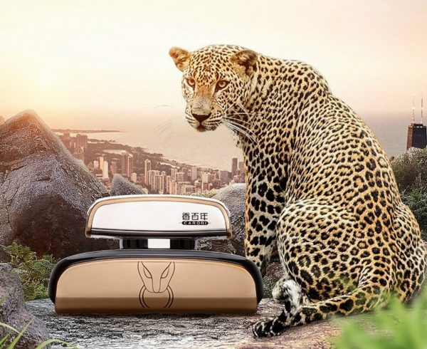 nuoc-hoa-o-to-carori-z255